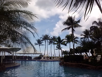 basen, basen, wody, palmy, Guam, pływać, pływanie