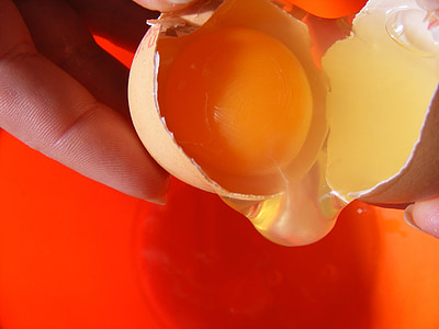 zlomený, vajíčko, vejce, uvnitř, darovaná vajíčka, žlutá, žloutek