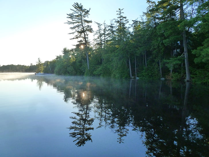 Lake, oever, reflectie, White pine, ochtend, nevel, rustige