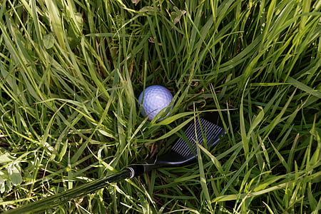 golf, club, iron, wedge, rough, grass, sport