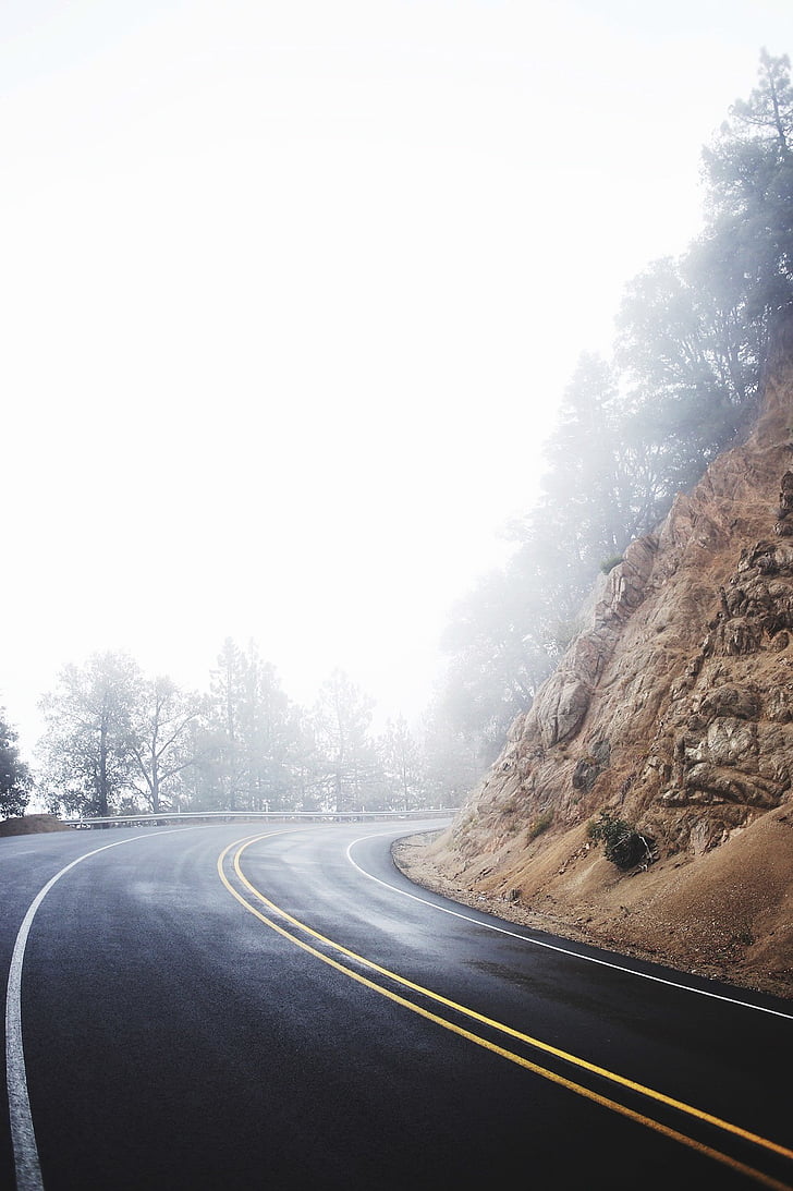 grey, asphalt, road, near, tree, fogs, daytime