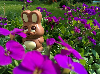 巧克力兔子, 复活节兔子, 复活节, 野兔, 巧克力, 隐藏, 乐趣