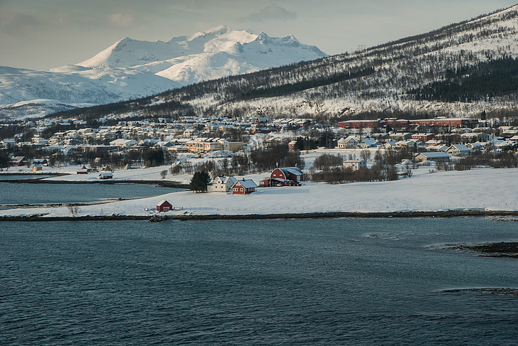 norway, tromso, fjord, lapland, snow, winter