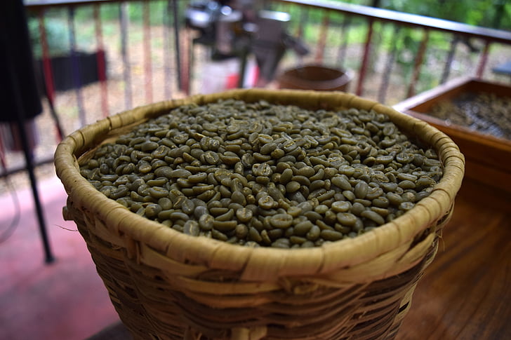 coffee, toasted, green, grain, coffee grains, colombia, basket