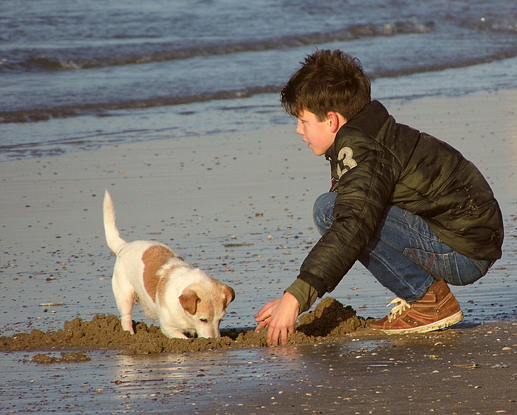 berniukas, žaisti, šuo, jūra, paplūdimys