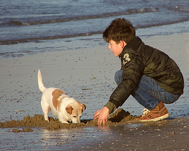 zēns, spēlēt, suns, jūra, pludmale