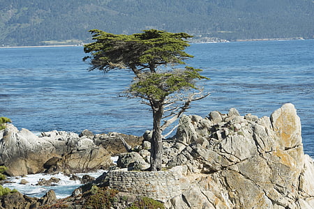 Пебъл Бийч, бреговата линия, Калифорния, САЩ, Тихия океан, декори, крайбрежие