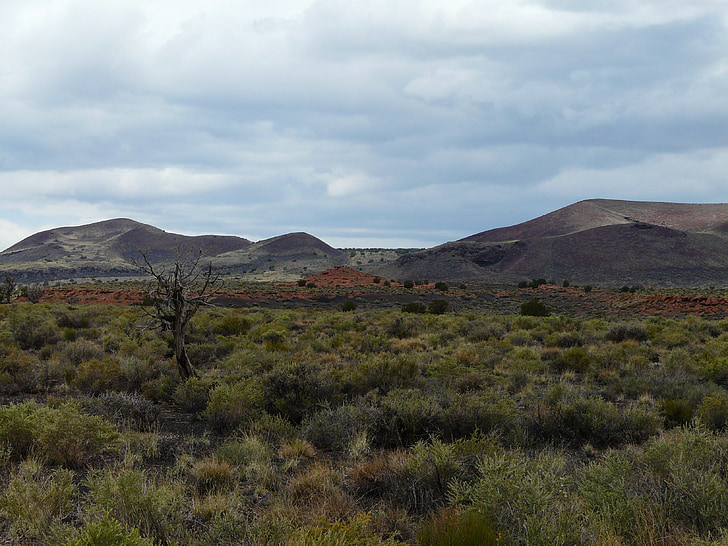 paysage, steppe, nature, é.-u., Arizona, colline, montagnes