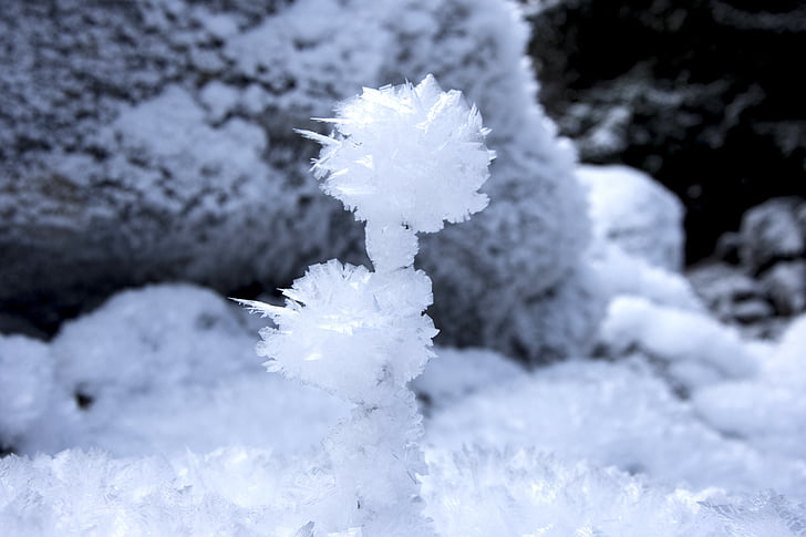 ดอกไม้น้ำแข็ง, eiskristalle, สีขาว, น้ำค้างแข็ง, น้ำแข็ง, ผลึก, เย็น