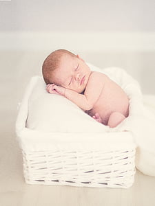 baby, basket, bed, birth, care, child, cute