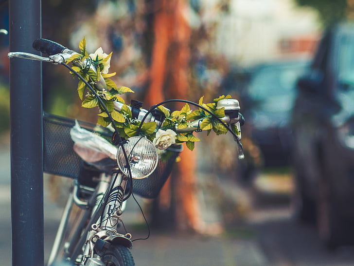 bicikl, bicikala, košara, ulica, zamagliti, zelena, biljka