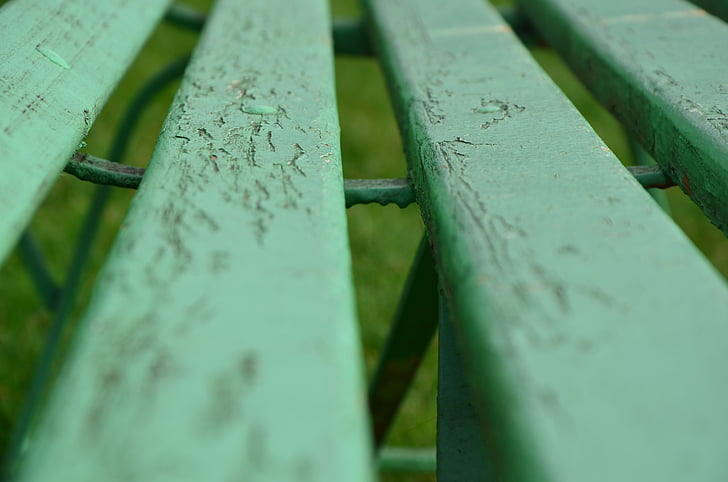 bench, green, autumn, macro, photo