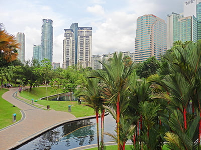 Куала Лумпур, Малайзия, Азия, парк, Сити център, небостъргач, дърво