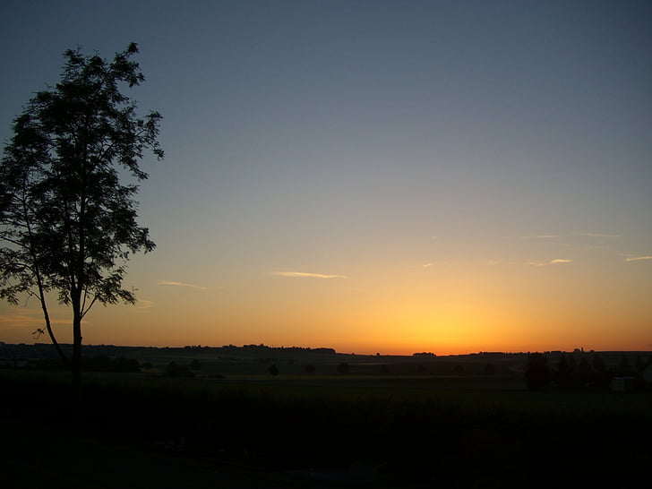 morgenstimmung, morgonljuset, soluppgång, Skies, träd, landskap, tidigt på morgonen
