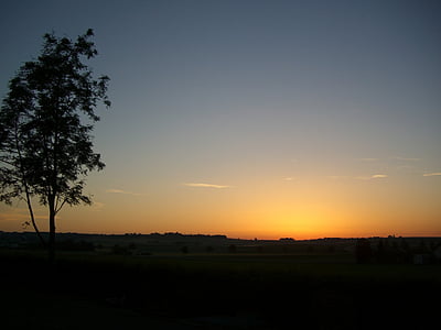 morgenstimmung, Jutarnja svjetlost, izlazak sunca, nebo, stabla, krajolik, rano ujutro