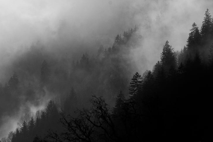 Chamonix, jutro, magla, Francuska, krajolik, izlazak sunca, grad