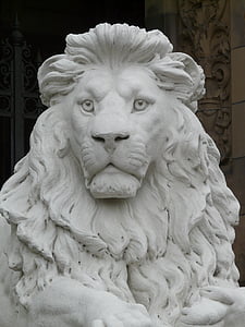 Lauva, statuja, stāvs, ģipšakmens, balta, dzīvnieku, krīta skaitlis