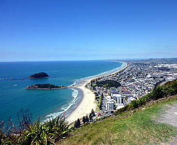 Tauranga bay, Neuseeland, Bucht, Landschaft, Ozean, Meer