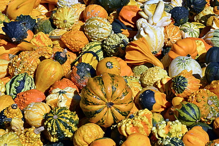 pompoen, pompoen, herfst, Thanksgiving, decoratie, oogst, Halloween