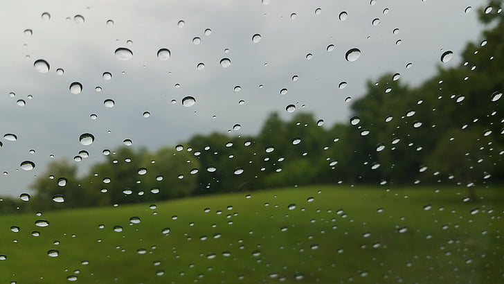 rain, drops, weather, nature, rain drops, droplet, park