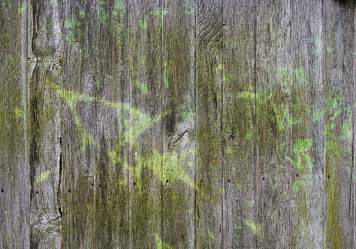 wood, grey, green, painted, structure, texture, wall