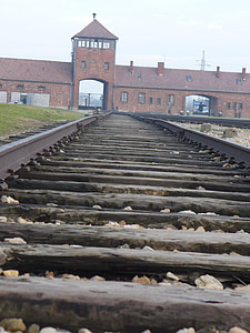 birkenau, history, in the end, sorry, travel, road, at the end of