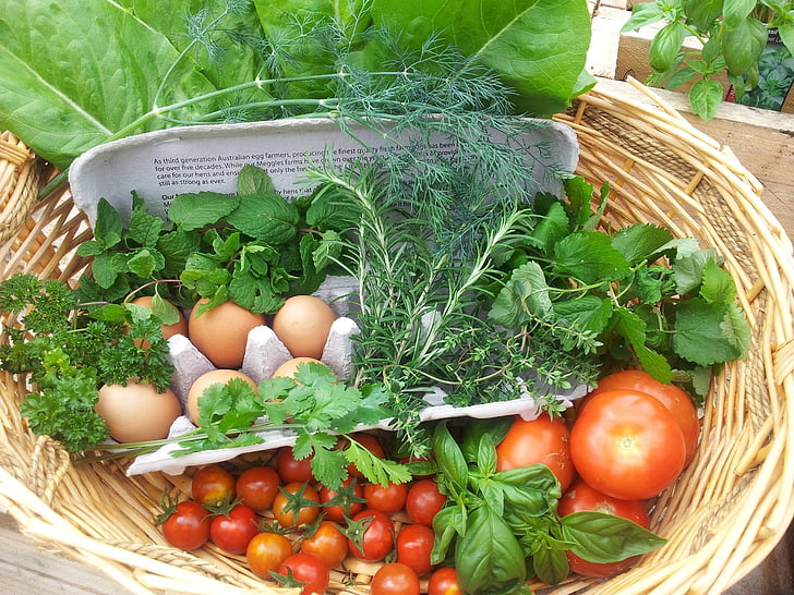 свіжі, жнива, трави, продукти харчування, овочі, сад, Садівництво