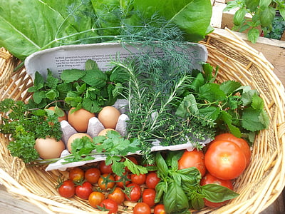 新鲜, 收获, 草药, 食品, 蔬菜, 花园, 园艺