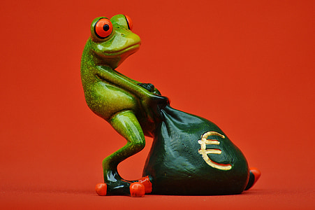 βάτραχος, χρήματα, ευρώ, τσάντα, σάκκος με τα χρήματα, Αστείο, Χαριτωμένο