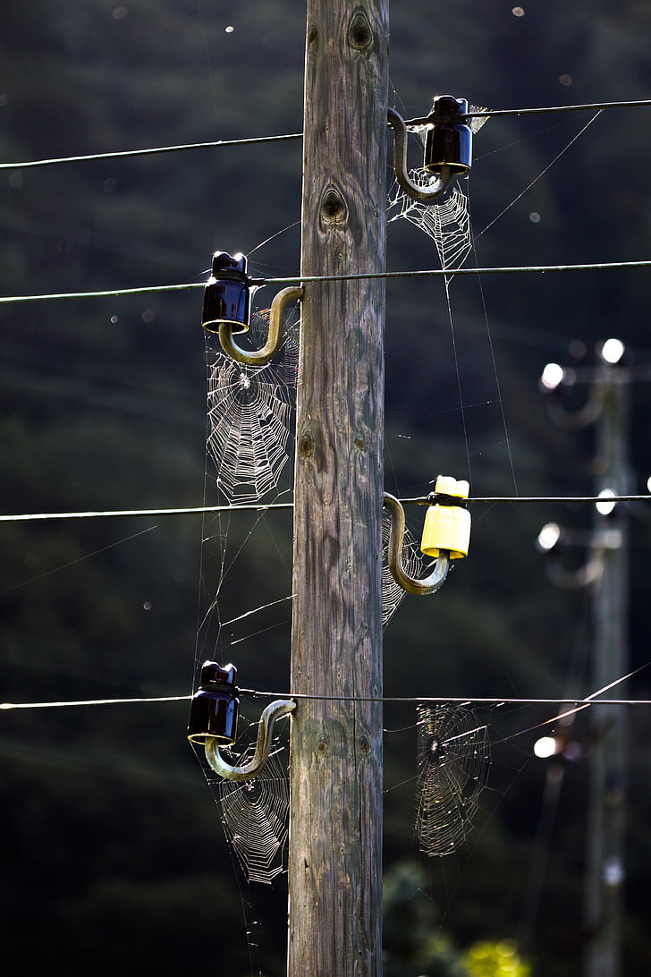 pavučiny, pavučina, síť, strommast, elektrické vedení