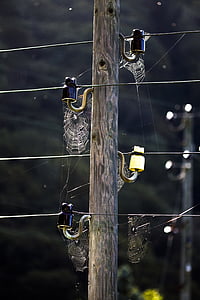 spindelvæv, spindelvæv, netværk, strommast, højspændingsledning