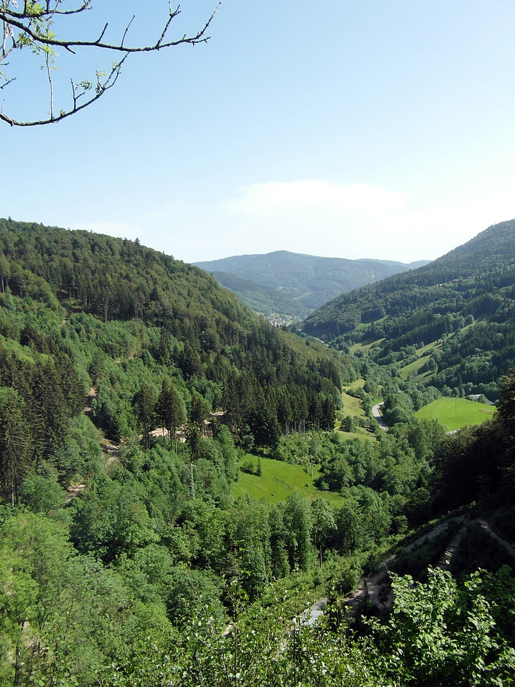 Schwarzwaldin, Valley, Outlook, näkymä, maisema, Luonto, kesällä