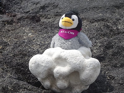 м'яка іграшка, туфу, камінь, фігура, пляж, Пінгвін