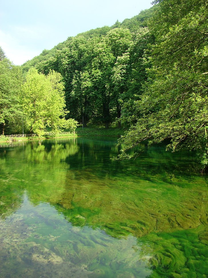 water, Lake, natuur, pure, groen, rustige