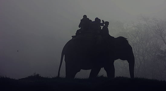 close, photo, silhouette, people, ride, elephant, fog