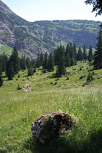 πίσω από τον steiner tal, Πεζοπορία, βουνά, αλπική, ειδύλλιο, μονοπάτι, πέτρα
