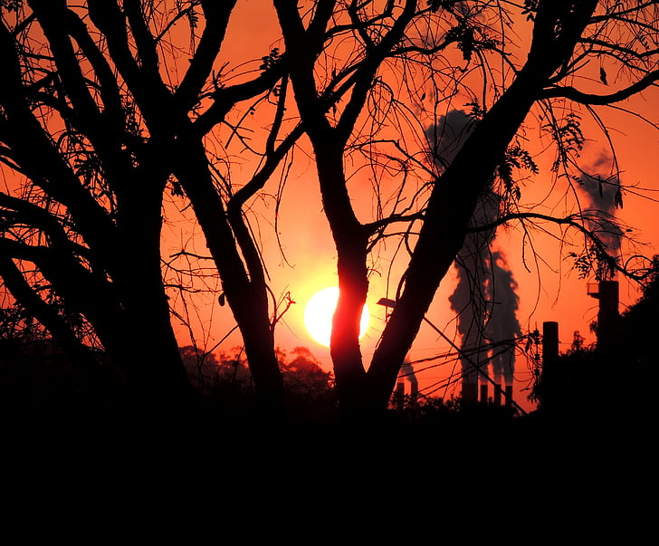 bomen, vervuiling, Sol, zonsondergang, tegen licht