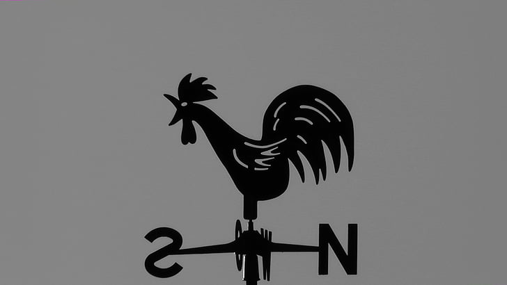 weather vane, wind direction, home, roof, wind direction indicator, hahn, metal