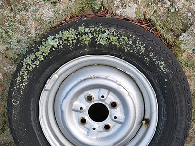 wheel, lichen, moss, old, abandoned