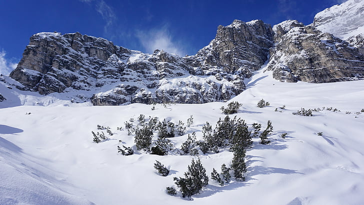 rocks, mountain, snow, trees, mountains, nature, landscape