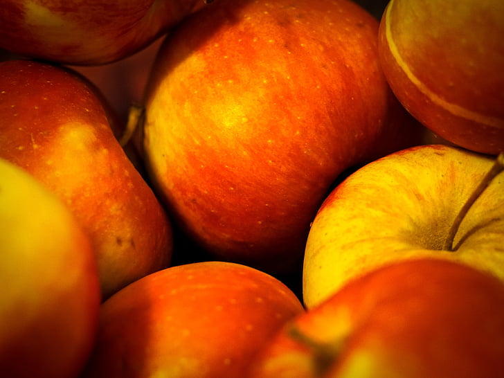 Apple, Boskoop, friska, frukt, röd, äppelträd, läckra
