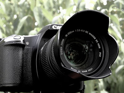 kamera, digitális fényképezőgép, Fénykép, Fénykép, képek, zoom objektív, fotózás
