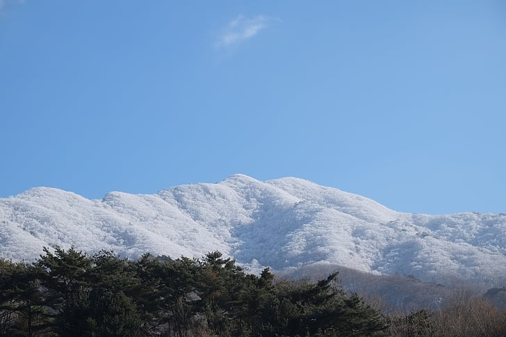 deogyusan, rima difícil, muntanya de neu, natura, muntanya, arbre, blau