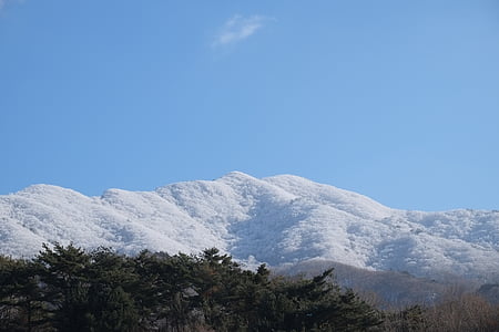deogyusan, rima difficile, montagna della neve, natura, montagna, albero, blu