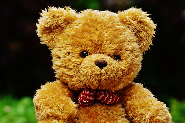 Teddy, Plush, ładny, zabawki, śmieszne, niedźwiedzie, słodkie