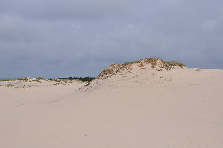 the sand dunes, moving dunes, the mobile dune, sand, the coast, nature, the coast of the baltic sea