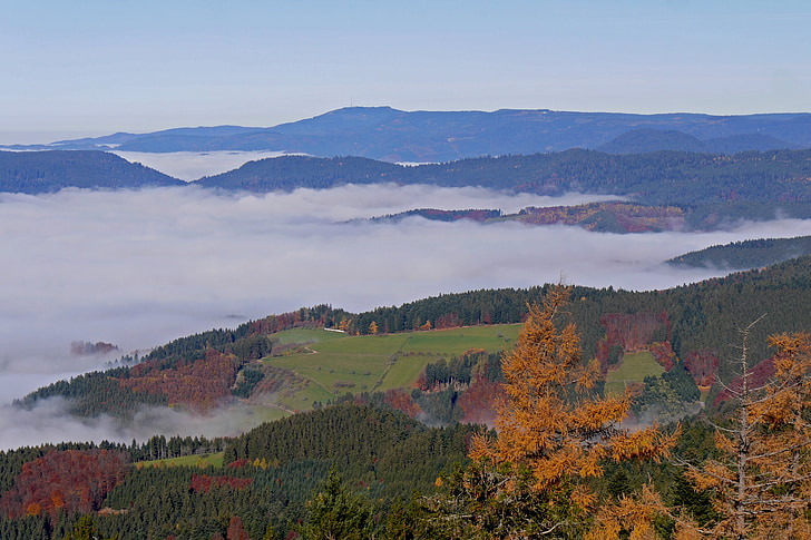 Schwarzwald, höstfärg, herbstnebel, Höstens färger, Höstens mood