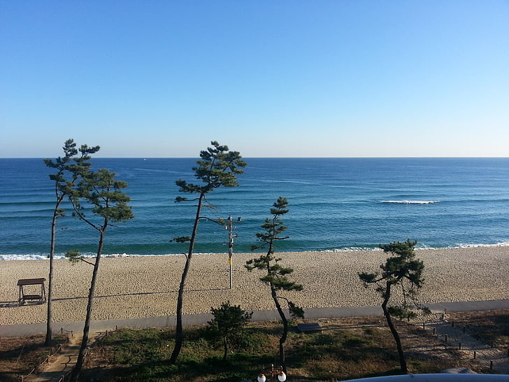 바다, 일본 해, 모래, 물 위에 수평선, 블루, 자연, 비치