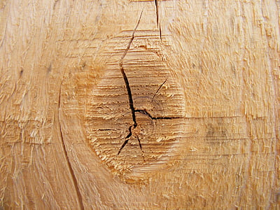 Abeto, nudo de, natural, árbol, madera, textura de fondo