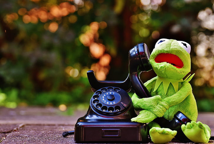 Kermit, kikker, telefoon, Figuur, grappig, kikkers, dier